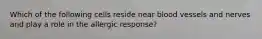 Which of the following cells reside near blood vessels and nerves and play a role in the allergic response?