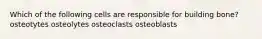 Which of the following cells are responsible for building bone? osteotytes osteolytes osteoclasts osteoblasts