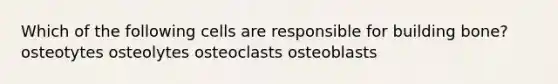 Which of the following cells are responsible for building bone? osteotytes osteolytes osteoclasts osteoblasts