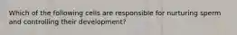 Which of the following cells are responsible for nurturing sperm and controlling their development?