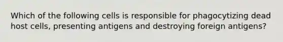 Which of the following cells is responsible for phagocytizing dead host cells, presenting antigens and destroying foreign antigens?