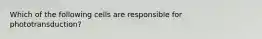 Which of the following cells are responsible for phototransduction?