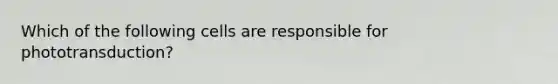 Which of the following cells are responsible for phototransduction?