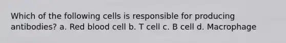 Which of the following cells is responsible for producing antibodies? a. Red blood cell b. T cell c. B cell d. Macrophage