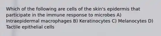 Which of the following are cells of the skin's epidermis that participate in the immune response to microbes A) Intraepidermal macrophages B) Keratinocytes C) Melanocytes D) Tactile epithelial cells