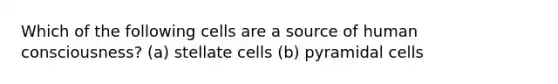 Which of the following cells are a source of human consciousness? (a) stellate cells (b) pyramidal cells