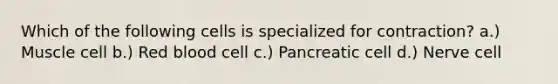 Which of the following cells is specialized for contraction? a.) Muscle cell b.) Red blood cell c.) Pancreatic cell d.) Nerve cell