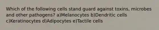 Which of the following cells stand guard against toxins, microbes and other pathogens? a)Melanocytes b)Dendritic cells c)Keratinocytes d)Adipocytes e)Tactile cells