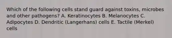 Which of the following cells stand guard against toxins, microbes and other pathogens? A. Keratinocytes B. Melanocytes C. Adipocytes D. Dendritic (Langerhans) cells E. Tactile (Merkel) cells