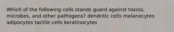 Which of the following cells stands guard against toxins, microbes, and other pathogens? dendritic cells melanocytes adipocytes tactile cells keratinocytes