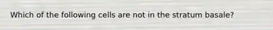 Which of the following cells are not in the stratum basale?