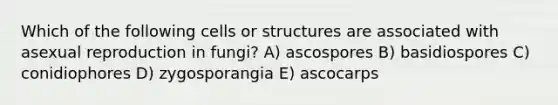 Which of the following cells or structures are associated with asexual reproduction in fungi? A) ascospores B) basidiospores C) conidiophores D) zygosporangia E) ascocarps