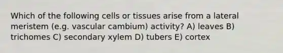 Which of the following cells or tissues arise from a lateral meristem (e.g. vascular cambium) activity? A) leaves B) trichomes C) secondary xylem D) tubers E) cortex