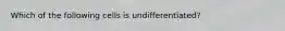 Which of the following cells is undifferentiated?