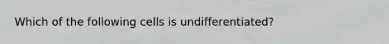 Which of the following cells is undifferentiated?