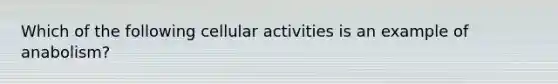 Which of the following cellular activities is an example of anabolism?