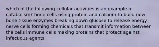 which of the following cellular activities is an example of catabolism? bone cells using protein and calcium to build new bone tissue enzymes breaking down glucose to release energy nerve cells forming chemicals that transmit information between the cells immune cells making proteins that protect against infectious agents