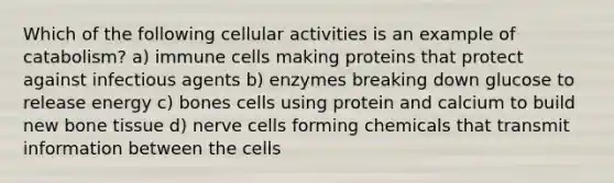 Which of the following cellular activities is an example of catabolism? a) immune cells making proteins that protect against infectious agents b) enzymes breaking down glucose to release energy c) bones cells using protein and calcium to build new bone tissue d) nerve cells forming chemicals that transmit information between the cells