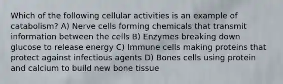 Which of the following cellular activities is an example of catabolism? A) Nerve cells forming chemicals that transmit information between the cells B) Enzymes breaking down glucose to release energy C) Immune cells making proteins that protect against infectious agents D) Bones cells using protein and calcium to build new bone tissue