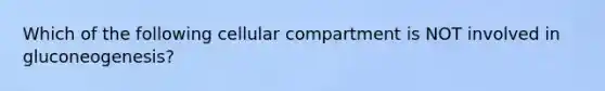 Which of the following cellular compartment is NOT involved in gluconeogenesis?