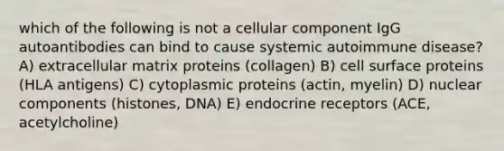 which of the following is not a cellular component IgG autoantibodies can bind to cause systemic autoimmune disease? A) extracellular matrix proteins (collagen) B) cell surface proteins (HLA antigens) C) cytoplasmic proteins (actin, myelin) D) nuclear components (histones, DNA) E) endocrine receptors (ACE, acetylcholine)