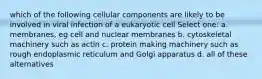 which of the following cellular components are likely to be involved in viral infection of a eukaryotic cell Select one: a. membranes, eg cell and nuclear membranes b. cytoskeletal machinery such as actin c. protein making machinery such as rough endoplasmic reticulum and Golgi apparatus d. all of these alternatives