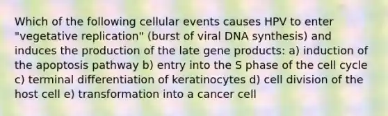 Which of the following cellular events causes HPV to enter "vegetative replication" (burst of viral DNA synthesis) and induces the production of the late gene products: a) induction of the apoptosis pathway b) entry into the S phase of the cell cycle c) terminal differentiation of keratinocytes d) cell division of the host cell e) transformation into a cancer cell