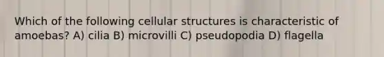 Which of the following cellular structures is characteristic of amoebas? A) cilia B) microvilli C) pseudopodia D) flagella