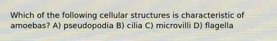 Which of the following cellular structures is characteristic of amoebas? A) pseudopodia B) cilia C) microvilli D) flagella