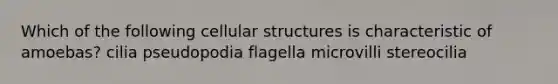 Which of the following cellular structures is characteristic of amoebas? cilia pseudopodia flagella microvilli stereocilia