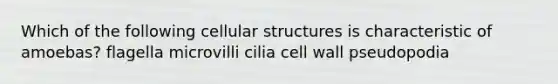 Which of the following cellular structures is characteristic of amoebas? flagella microvilli cilia cell wall pseudopodia