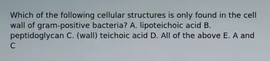 Which of the following cellular structures is only found in the cell wall of gram-positive bacteria? A. lipoteichoic acid B. peptidoglycan C. (wall) teichoic acid D. All of the above E. A and C