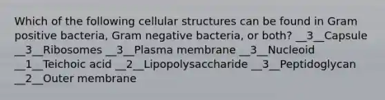 Which of the following cellular structures can be found in Gram positive bacteria, Gram negative bacteria, or both? __3__Capsule __3__Ribosomes __3__Plasma membrane __3__Nucleoid __1__Teichoic acid __2__Lipopolysaccharide __3__Peptidoglycan __2__Outer membrane