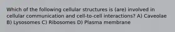 Which of the following cellular structures is (are) involved in cellular communication and cell-to-cell interactions? A) Caveolae B) Lysosomes C) Ribosomes D) Plasma membrane