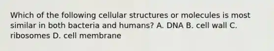 Which of the following cellular structures or molecules is most similar in both bacteria and humans? A. DNA B. cell wall C. ribosomes D. cell membrane