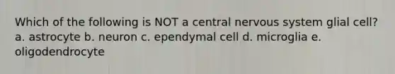 Which of the following is NOT a central <a href='https://www.questionai.com/knowledge/kThdVqrsqy-nervous-system' class='anchor-knowledge'>nervous system</a> glial cell? a. astrocyte b. neuron c. ependymal cell d. microglia e. oligodendrocyte