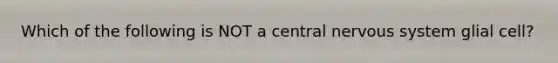 Which of the following is NOT a central nervous system glial cell?