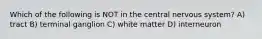 Which of the following is NOT in the central nervous system? A) tract B) terminal ganglion C) white matter D) interneuron