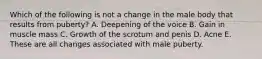 Which of the following is not a change in the male body that results from puberty? A. Deepening of the voice B. Gain in muscle mass C. Growth of the scrotum and penis D. Acne E. These are all changes associated with male puberty.