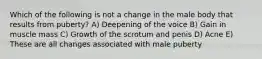 Which of the following is not a change in the male body that results from puberty? A) Deepening of the voice B) Gain in muscle mass C) Growth of the scrotum and penis D) Acne E) These are all changes associated with male puberty