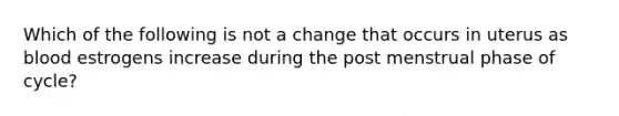 Which of the following is not a change that occurs in uterus as blood estrogens increase during the post menstrual phase of cycle?