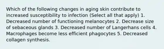 Which of the following changes in aging skin contribute to increased susceptibility to infection (Select all that apply) 1. Decreased number of functioning melanocytes 2. Decrease size of sebaceous glands 3. Decreased number of Langerhans cells 4. Macrophages become less efficient phagocytes 5. Decreased collagen synthesis.