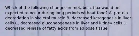 Which of the following changes in metabolic flux would be expected to occur during long periods without food? A. protein degradation in skeletal muscle B. decreased ketogenesis in liver cells C. decreased gluconeogenesis in liver and kidney cells D. decreased release of fatty acids from adipose tissue