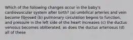 Which of the following changes occur in the baby's cardiovascular system after birth? (a) umbilical arteries and vein become fibrosed (b) pulmonary circulation begins to function, and pressure in the left side of the heart increases (c) the ductus venosus becomes obliterated, as does the ductus arteriosus (d) all of these