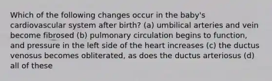 Which of the following changes occur in the baby's cardiovascular system after birth? (a) umbilical arteries and vein become fibrosed (b) pulmonary circulation begins to function, and pressure in the left side of the heart increases (c) the ductus venosus becomes obliterated, as does the ductus arteriosus (d) all of these