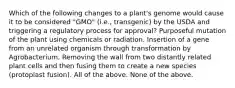 Which of the following changes to a plant's genome would cause it to be considered "GMO" (i.e., transgenic) by the USDA and triggering a regulatory process for approval? Purposeful mutation of the plant using chemicals or radiation. Insertion of a gene from an unrelated organism through transformation by Agrobacterium. Removing the wall from two distantly related plant cells and then fusing them to create a new species (protoplast fusion). All of the above. None of the above.