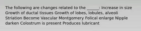 The following are changes related to the ______: Increase in size Growth of ductal tissues Growth of lobes, lobules, alveoli Striation Become Vascular Montgomery Folical enlarge Nipple darken Colostrum is present Produces lubricant