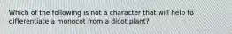 Which of the following is not a character that will help to differentiate a monocot from a dicot plant?