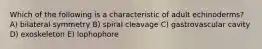 Which of the following is a characteristic of adult echinoderms? A) bilateral symmetry B) spiral cleavage C) gastrovascular cavity D) exoskeleton E) lophophore