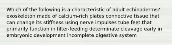 Which of the following is a characteristic of adult echinoderms? exoskeleton made of calcium-rich plates connective tissue that can change its stiffness using nerve impulses tube feet that primarily function in filter-feeding determinate cleavage early in embryonic development incomplete digestive system